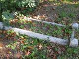 image of grave number 254782